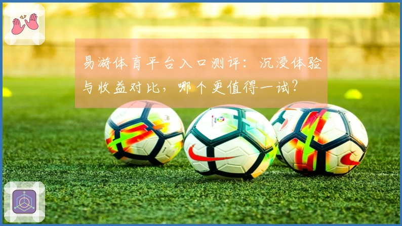 易游体育平台入口测评：沉浸体验与收益对比，哪个更值得一试？