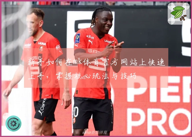 新手如何在mk体育官方网站上快速上手，掌握核心玩法与技巧