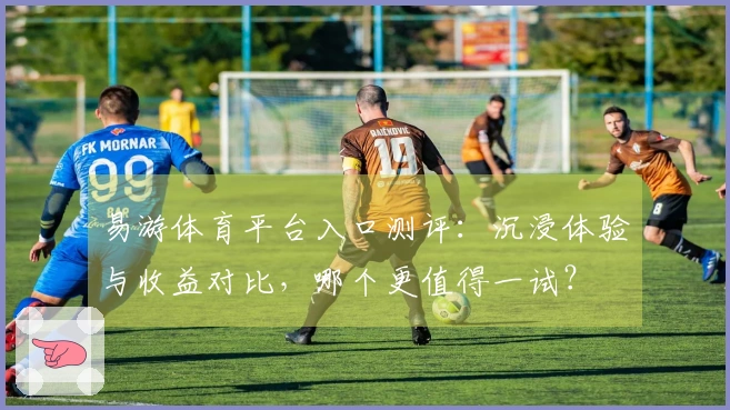 易游体育平台入口测评：沉浸体验与收益对比，哪个更值得一试？