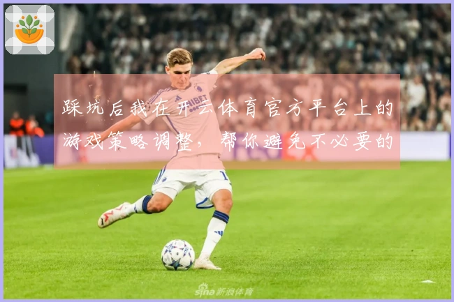 踩坑后我在开云体育官方平台上的游戏策略调整，帮你避免不必要的损失与失败
